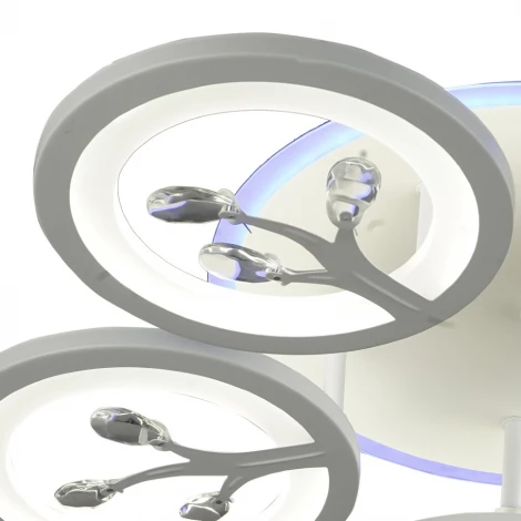 Потолочная люстра Wedo Light Felicity 75307.01.09.05