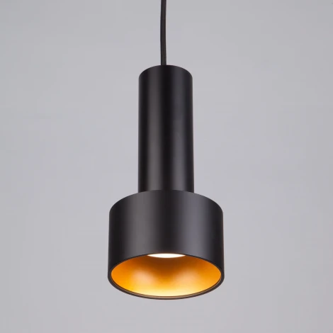 Подвесной светильник Eurosvet Charlie 50134/1 LED черный/золото