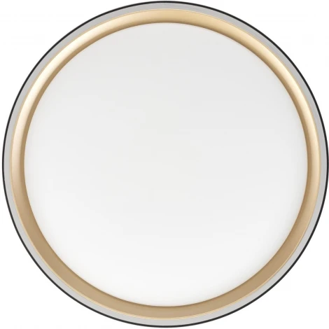 Потолочный светильник RGB круглый светодиодный с пультом Citilux Boss CL751251G (220V, круглые)