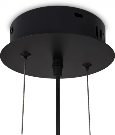 Подвесной светильник Freya Achillea FR5400PL-01B (220V, на тросе)