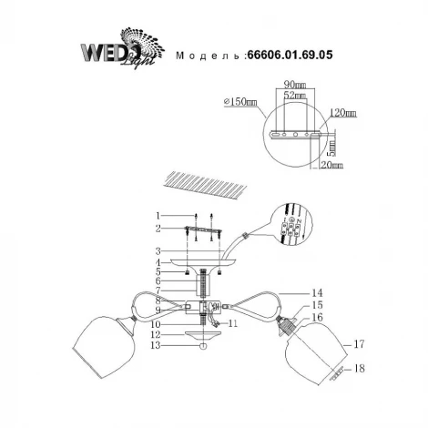 Потолочная люстра Wedo Light Isora 66606.01.69.05