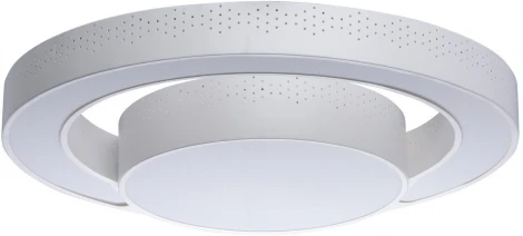 Потолочный светильник MW-Light Ривз 674010902