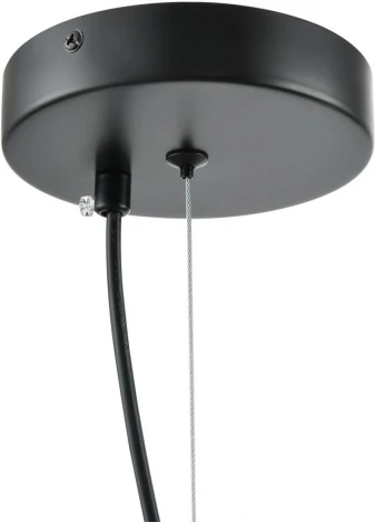 Подвесной светильник Lumion Corne 6595/4A черный/прозрачный, металл/стекло E27 4*60W 220V (на проводе)