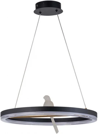 Подвесной светильник F-Promo Bardy 4654-1P (LED, 220V, на проводе, птички)