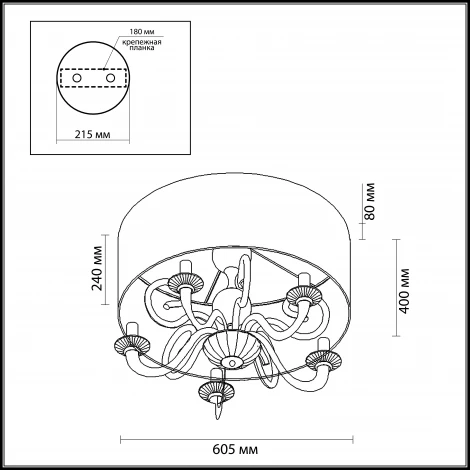 Потолочный светильник Odeon Light Danli 2536/5C