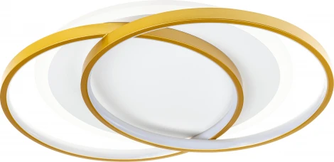 Потолочная люстра светодиодная с ДУ Ritter Snello 51624 2