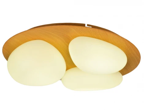 Потолочный светильник круглый Мелодия Света SS1L 000024980