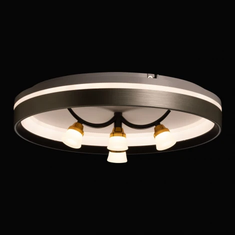 Потолочный светильник круглый De City Норден 660014901 (регулировка яркости, LED, 220V, пульт управления, круглые)