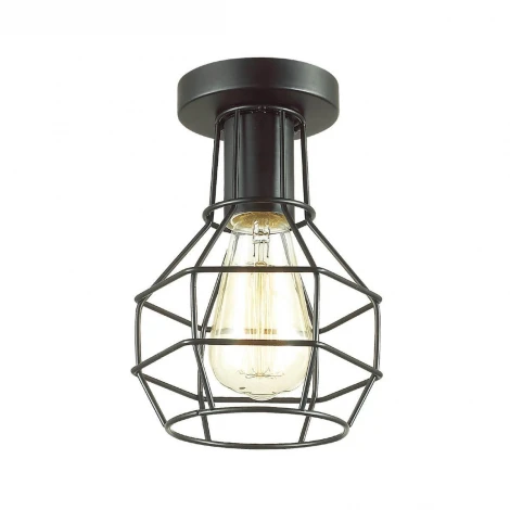 Потолочная люстра Lumion Harald 3637/1C