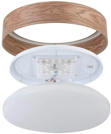 Потолочный светильник светодиодный Eglo LUPPINERIA 900463