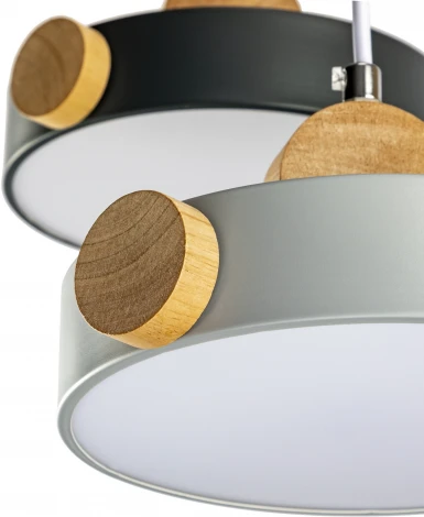 Подвесной светильник светодиодный Ritter Scandia 52078 8