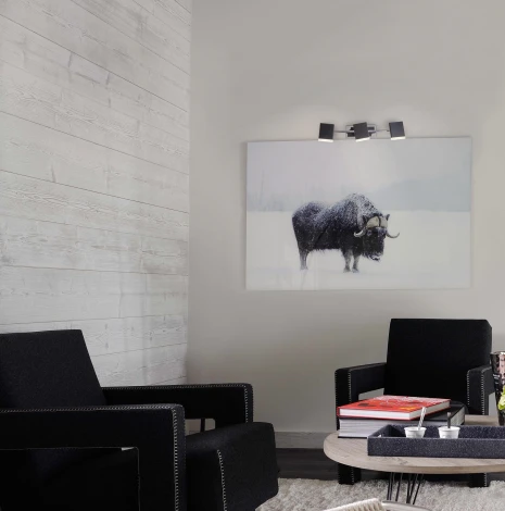 Спот Eurosvet Collin 20000/3 черный