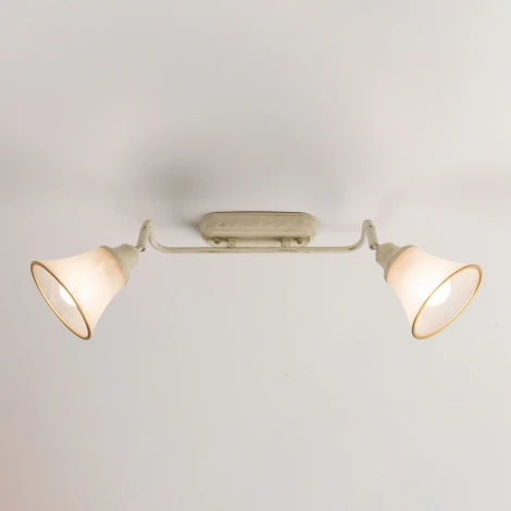 Спот на штанге Citilux Прованс CL511524 (220V)