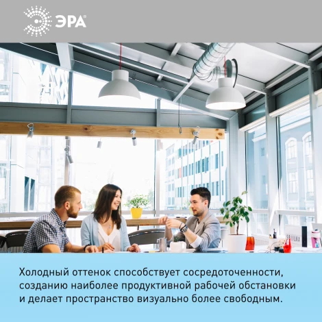 Лампочка светодиодная E27 25W ЭРА LED A65-25W-860-E27