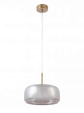 Подвесной светодиодный светильник MyFar Charlie MR2131-1PL (220V, на проводе, круглые, IP40)