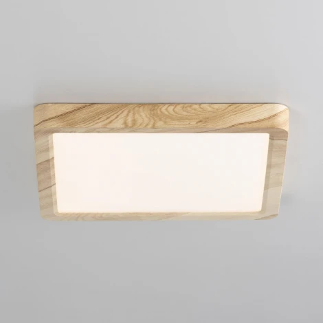 Настенно-потолочный светильник Citilux Бейсик CL738K182V (регулировка яркости, LED, 220V, IP40)