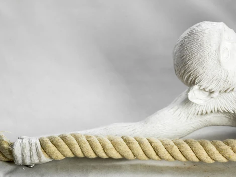 Подвесной светильник Lussole Loft Hicksville GRLSP-9993 (220V, на проводе, обезьяна, IP21)