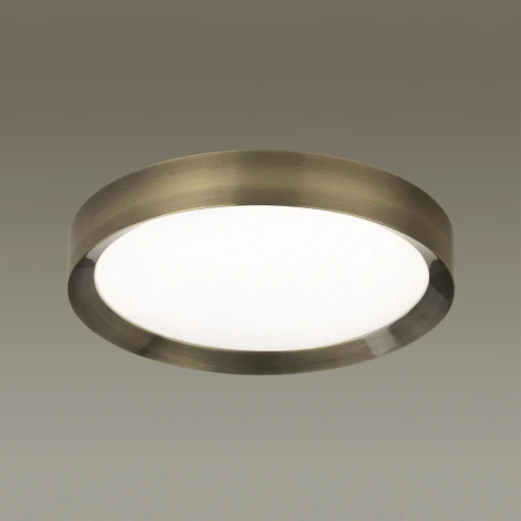 Настенно-потолочный светильник Odeon Light Lunor 4948/45CL