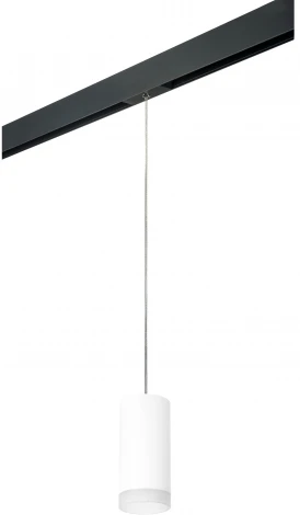 Трековый светильник однофазный 220V Lightstar Rullo PRORP648680 (круглые)