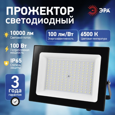 Прожектор уличный светодиодный ЭРА LPR-06 LPR-062-0-65K-100