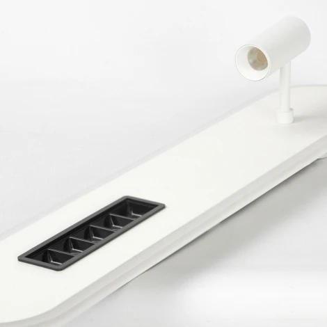 Потолочный светильник со спотом Lussole Harris LSP-7278 (LED, 220V)