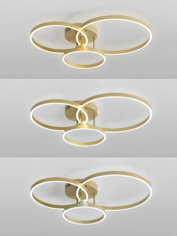 Потолочная люстра светодиодная с пультом Natali Kovaltseva Modern Ii LED LAMPS 81480 кольцо