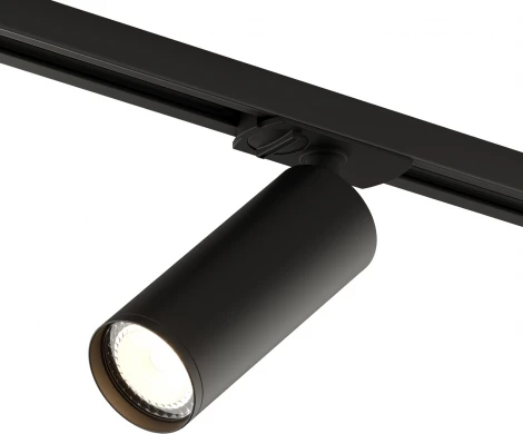 Трековый светильник Denkirs DK620 DK6202-BK (220V, круглые)