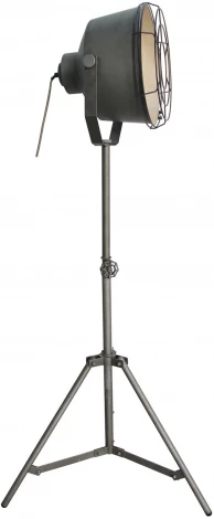 Торшер Lussole Loft Westminster LSP-9807