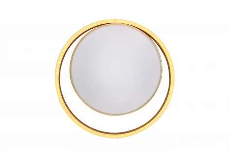 Потолочный светильник Natali Kovaltseva LED LAMPS 81304