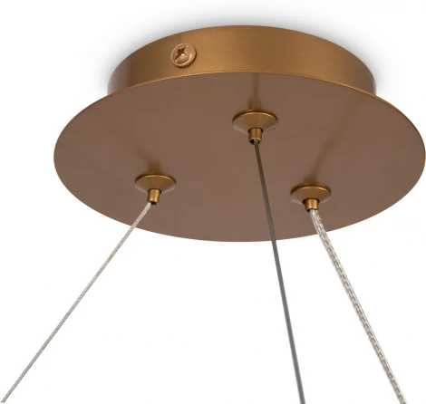 Подвесная люстра Maytoni Balance MOD317PL-06G (220V, на тросе, шарики, кольцо)