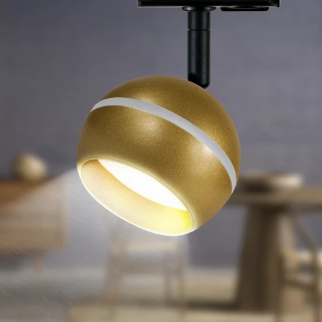 Трековый светильник ЭРА TR47 - GX53 MG (220V, шар)