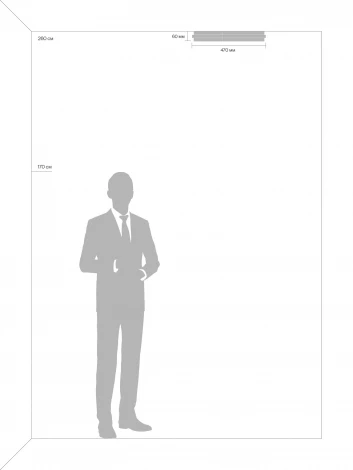 Потолочный светильник светодиодный с пультом Freya Tucene FR10029CL-L70B