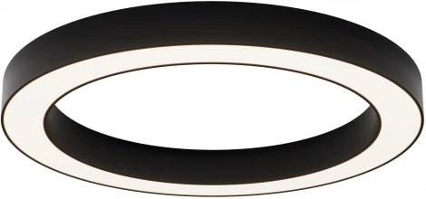 Потолочный светильник круглый светодиодный Maytoni Lua C093CL-45W4K-B (220V, круглые)