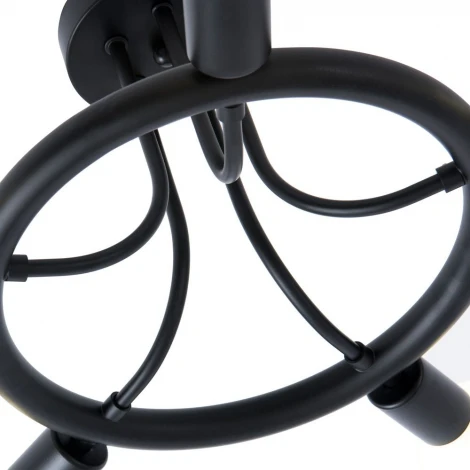 Потолочная люстра Arte Lamp Highgarden A6063PL-5BK