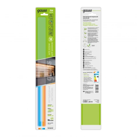 Настенно-потолочный светильник светодиодный Gauss 9019531209-T