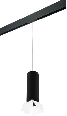 Трековый светильник однофазный 220V Lightstar Rullo PRORP6497486