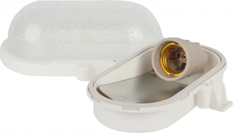 Настенно-потолочный светильник ЭРА НБП 01-60-012 (220V, IP53)