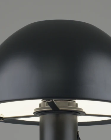 Настольная лампа с выключателем в форме гриба Moderli Aspen V11320-1T (220V, гриб)