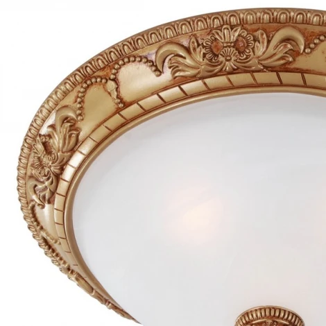Потолочный светильник Favourite Plafond 1447-3C