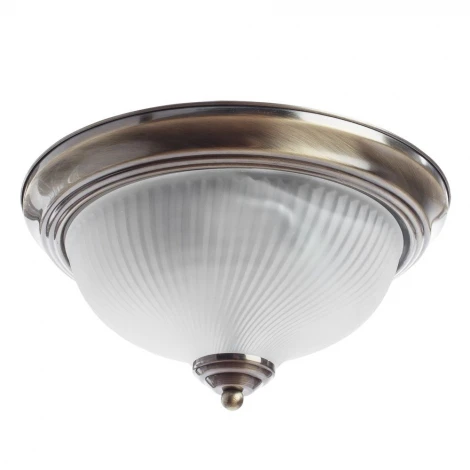 Потолочный светильник Arte Lamp Aqua-plate A9370PL-2AB