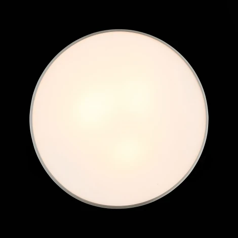 Настенно-потолочный светильник ST Luce Bagno SL468.502.03