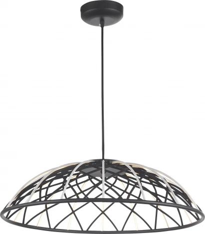 Светильник подвесной ST Luce Bound SL6016.403.01 Черный/Черный LED 1*20W (220V, на проводе)