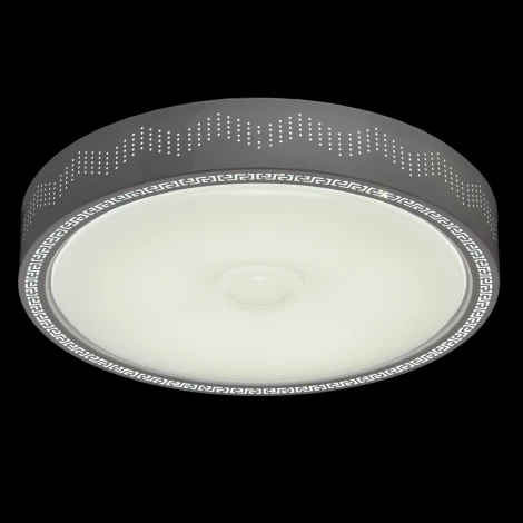 Потолочный светильник MW-Light Ривз 674012001