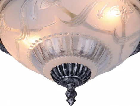 Потолочный светильник Arte Lamp Piatti A8001PL-2SB