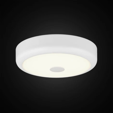 Настенно-потолочный светильник Citilux Фостер-1 CL706120