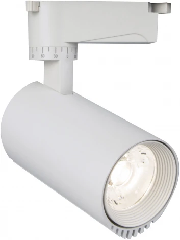 Трековый светильник светодиодный 20031 20031TRA/03 LED 30W 4200K белый матовый (220V, круглые)