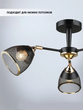 Потолочная люстра Wedo Light Aniko WD3637/3C-BK-FGD-BK