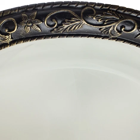 Потолочный светильник Arte Lamp Torta A7161PL-2AB