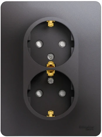 Розетка встраиваемая двойная с заземлением и шторками (графит) Systeme Electric Glossa GSL001326