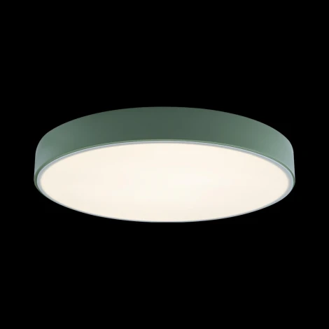 Потолочный светильник круглый Loft IT Axel 10002/24 Green (LED, 220V, круглые)